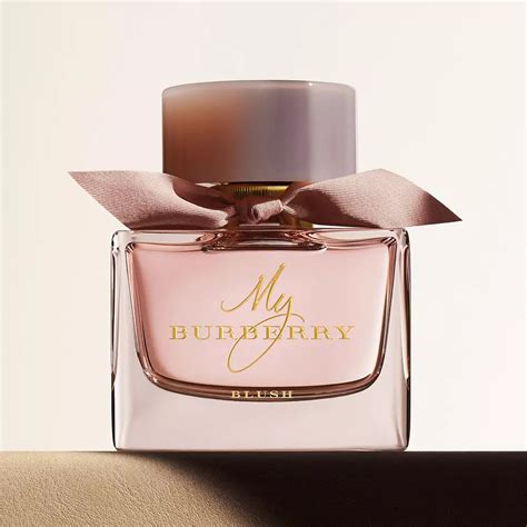 burberry for women notas|burberry perfume for women discontinued.